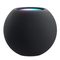 Умная колонка Apple HomePod mini (Black)